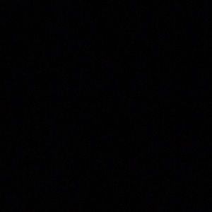 Meet your Posher, Bree